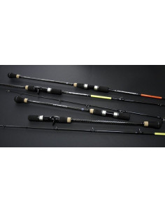 Vega Potenza Power 202C